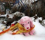 Namas po tragi&scaron;ko gaisro