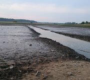 Taip dabar atrodo Daugidonių kaimo tvenkinys