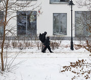 Gatvės pasidengė ledu