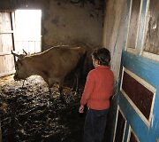 Albanija