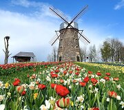 Pakruojo dvaro pavasario gėlių festivalis