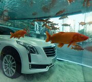 Naujasis &bdquo;Cadillac CT6&ldquo; Kinijoje pristatomas žuvų pilname akvariume