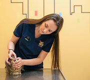 PetCity veterinarė