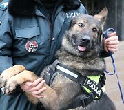 Kauno pareigūnų &scaron;uo &bdquo;Barbar z  Danaru&ldquo;, dažnai vadinamas tiesiog &bdquo;Kodu&ldquo;