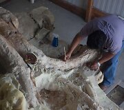 Paleontologai Meksikoje valo prie&scaron; metus rastus mamuto griaučius