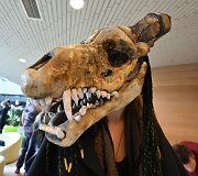 35-asis fantastinių idėjų ir kūrybos festivalis &bdquo;Lituanicon&ldquo;