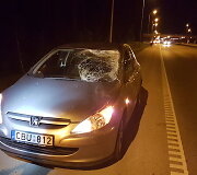 Prie Vilniaus du automobiliai susidūrė su briedžiu.