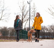 Socialinė akcija &scaron;unų savininkams Kaune