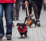 Kinijoje vyko taksų eitynės &bdquo;Sausage walk&ldquo;