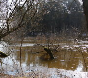 Patvinusios upės Panevėžio mieste ir rajone