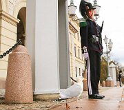 Mėgėji&scaron;kai fotografuojantis Chrisas Porszas i&scaron;leido savo kelionių nuotraukų knygą 