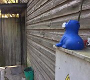 Girininkų II kaime, įtariama, mama nužudė savo naujagimę