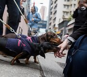 Kinijoje vyko taksų eitynės &bdquo;Sausage walk&ldquo;