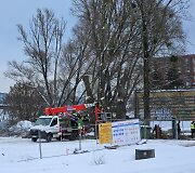 Kaunietis sunerimo dėl statybvietėje masi&scaron;kai pjaunamų medžių