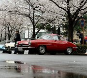Japonijos klasikinių automobilių festivalis Tokijuje