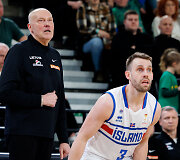 Rimas Kurtinaitis