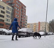 Vilniečiai turėjo darbo valydami nuo sniego automobilius