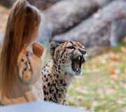 Atsinaujinęs Lietuvos zoologijos sodas