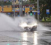 Liūtis Vilniuje 