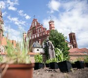 Atsinaujinusio skvero pristatymo akimirka