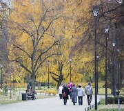 Auksinis ruduo Vilniuje