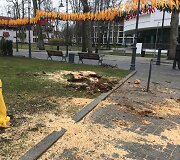 Palanga penktadienį tvarkosi audros pridarytus nuostolius