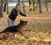 Sapiegų rūmų parkas 