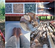 Basų kojų takas &scaron;alia Kadagių slėnio