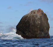 Rockall sala