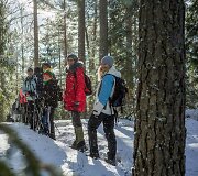 Kelionė į Suomijos Repovesi nacionalinį parką ir trijų dienų pėsčiųjų žygis