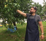 Marijos trobelės įkūrėjas Mindaugas Balčiūnas skina obuolius