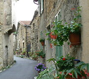 Cenova