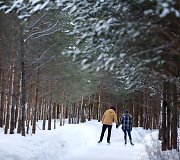 Kanadiečiai Kvebeko mi&scaron;ke i&scaron;liejo 13 km kelią pačiūžoms