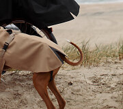 &bdquo;Ducktail Rainwear&ldquo; naujos kolekcijos modelis