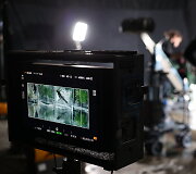 Rūtos Palionytės kurta 2021-ųjų &bdquo;Kino pavasario&ldquo; vizualinė tapatybė