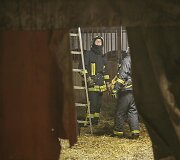 Avižienių seniūnijoje užsiliepsnojo žirgynas