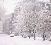 Vilnių užklojęs gausus sniegas