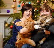 Mūsų katytė Diva sužinojo, kad &scaron;iais metais po eglute nėra bilietų ir nevyksime į &bdquo;Galapagus&ldquo; tiesiog pa&scaron;ėlo!!! Klaida i&scaron;taisyta, bilietai jau ki&scaron;enėj ir ruo&scaron;iamės kelionei!