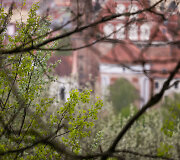 Lietaus gaivinamas Vilnius ir jo gamta