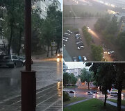 Liūtis &Scaron;iauliuose