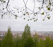 Lietaus gaivinamas Vilnius ir jo gamta