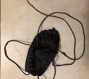 Vaiki&scaron;ka naginė, rasta Gataučių namo spaliuose