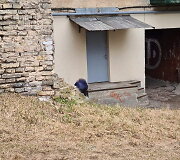 Įvykio vietoje