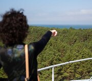 Ovi&scaron;ų &scaron;vyturys