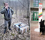 Bylos įkalčiai