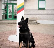 Tarnybinis &scaron;uo Endy