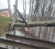 Audros padariniai Plungės rajone
