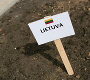 Europos Sąjungos žiedo sodinimas Kairėnuose