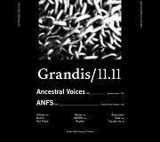 Plakatas &ndash; Grandis 2