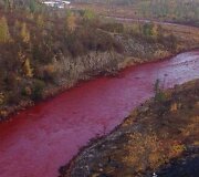 Upė Sibire nusidažė ry&scaron;kiai raudona spalva